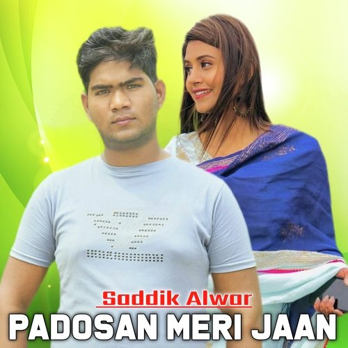 Padosan Meri Jaan (Saddik Alwar)