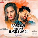 Pardesi Pal Ma Bhuli Jase (Lofi Mix)