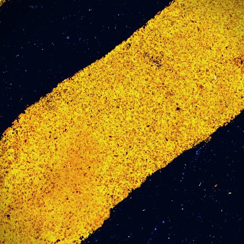 Park cover art