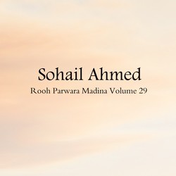 Rooh Parwara Madina, Vol. 29