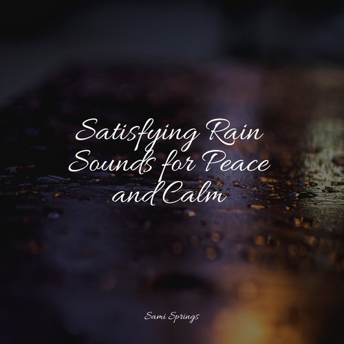 Satisfying Rain Sounds for Peace and Calm_poster_image