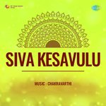 Siva Kesavulu