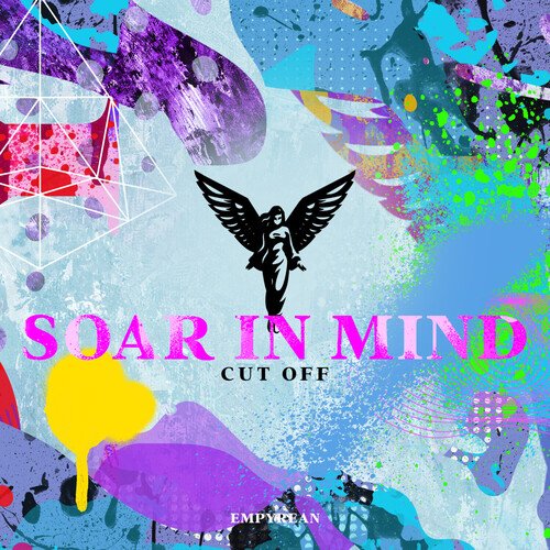 Soar in Mind_poster_image