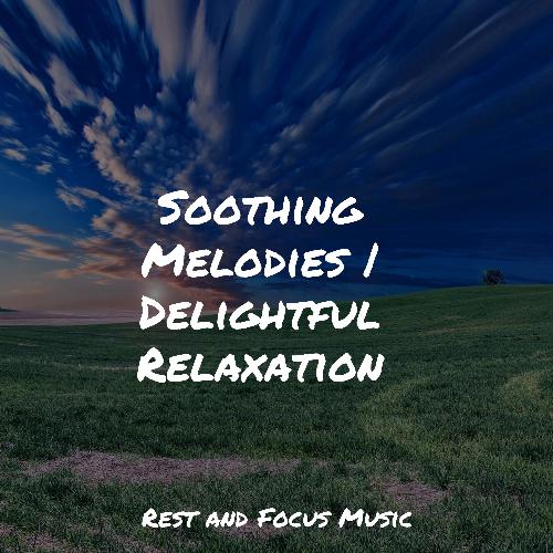 Soothing Melodies | Delightful Relaxation