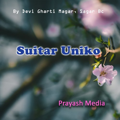 Suitar Uniko_poster_image