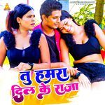 Tu Hamra Dil Ke Raja