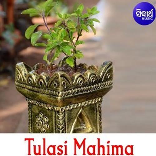 Tulasi Mahima