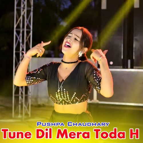 Tune Dil Mera Toda H