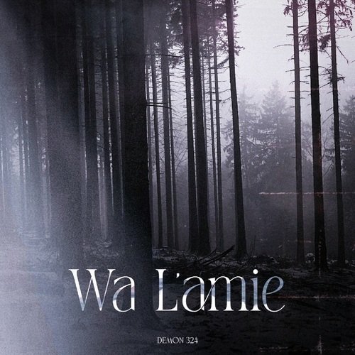 Wa l'amie_poster_image