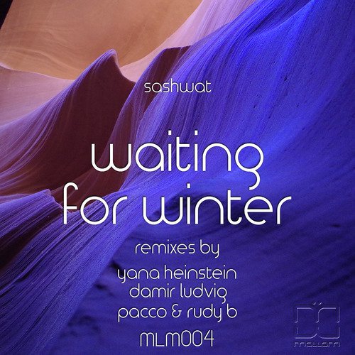Waiting for Winter (Damir Ludvig Remix) cover art
