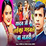 Yadav Ji ke Laika Gadwale Ba Nazari