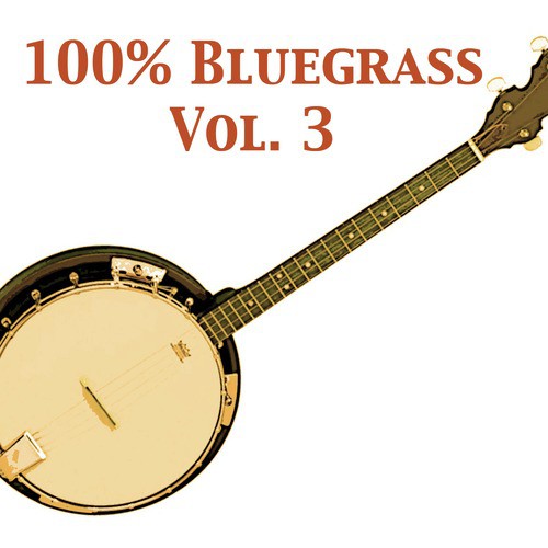 100% Bluegrass, Vol. 3