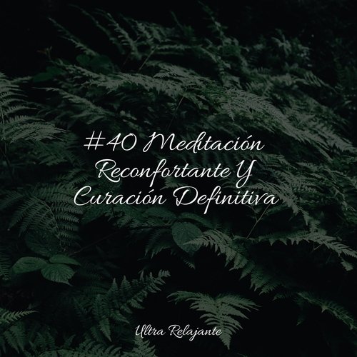 #40 Meditación Reconfortante Y Curación Definitiva_poster_image