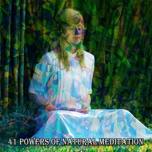 41 Powers Of Natural Meditation_poster_image