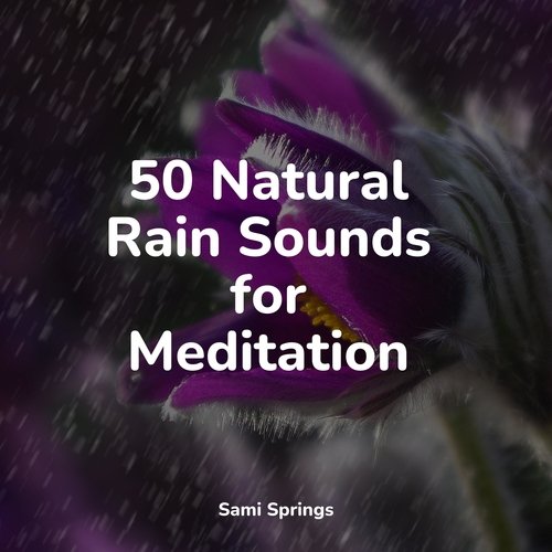 Rain, Storm and Thunder cover art