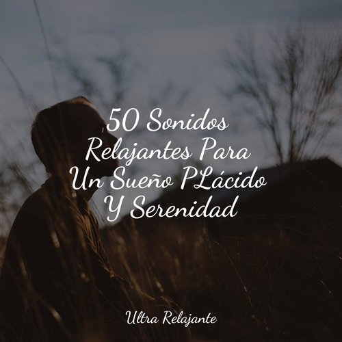 50 Sonidos Relajantes Para Un Sueño PLácido Y Serenidad