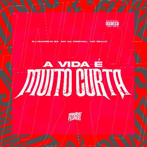 A Vida É Muito Curta_poster_image