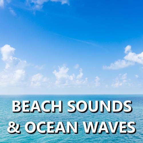 Appealing Florida Beach Sounds