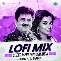 Bheed Mein Tanhaai Mein - Lofi Mix-JTwmd1lxR2A