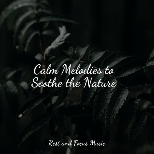 Trance and Zen cover art