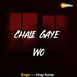 Chale Gaye Wo