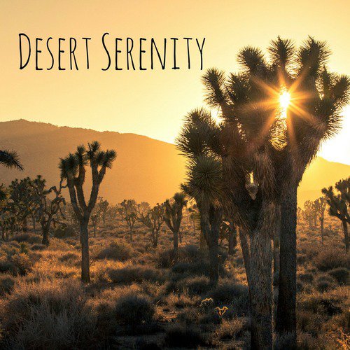 Desert Serenity