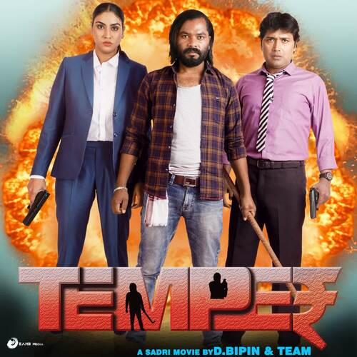 Dil Ker Kona Me Toi (Temper)