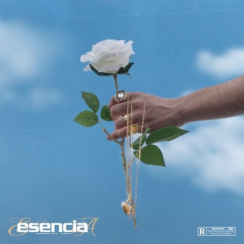 Esencia