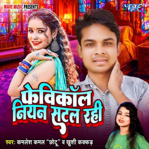 Fevicol Niyan Satal Rahi cover art