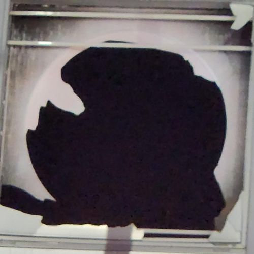 I Choose Life cover art