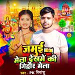 Jamui Mela Dekhami Ki Gidhaur Mela