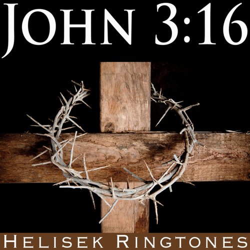 John 3:16 from The Holy Bible (Christian Bible Verse about Jesus for Good Friday and Easter)