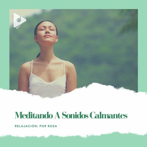 Meditando a Sonidos Calmantes_poster_image