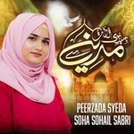 Meri Ulfat Madine Youn hee Nahi - Mere Aqa Ka Roza Madine me Hey