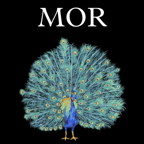 Mor (Slowed Reverb)