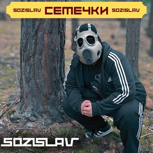 СЕМЕЧКИ