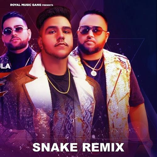 Snake Remix