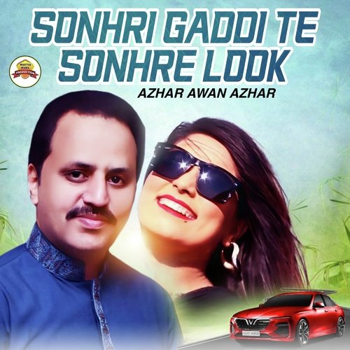 Sonhri Gaddi Te Sonhre Look