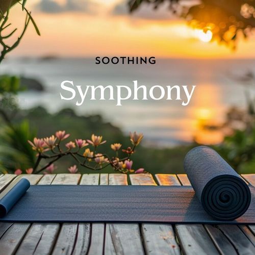 Soothing Symphony_poster_image