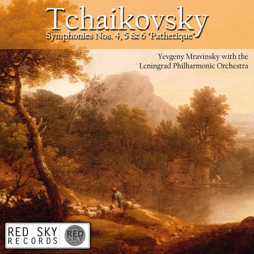 Symphony No. 6 in B Minor, Op. 74: Adagio - Allegro non troppo