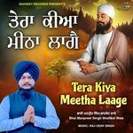 Tera Kiya Meetha Lage