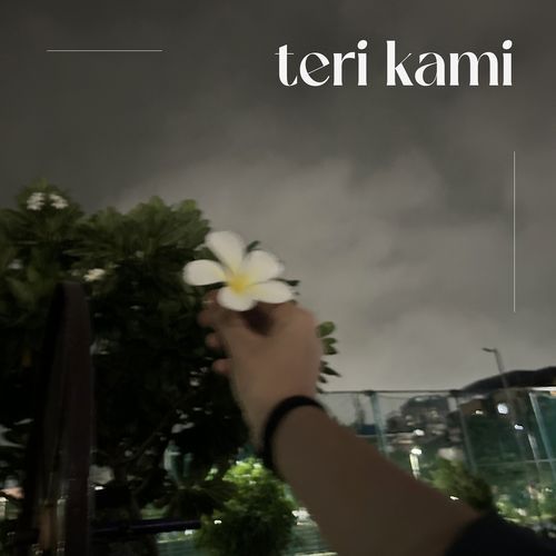 Teri Kami