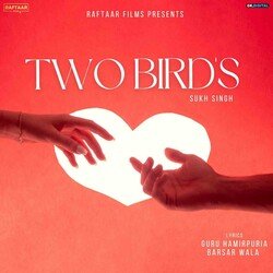 Two Birds-SQsSAT0Ef3s