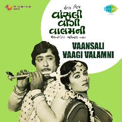 Gajab Thai Gayore Bhai