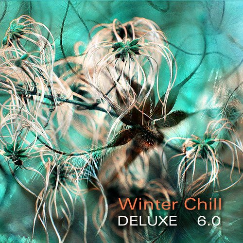 Winter Chill Deluxe 6.0_poster_image