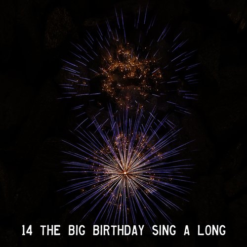 14 The Big Birthday Sing A Long