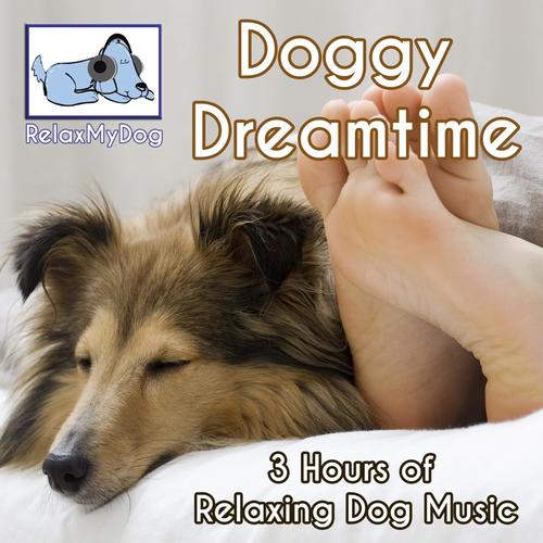 3 Hours of Relaxing Dog Music - Doggy Dreamtime
