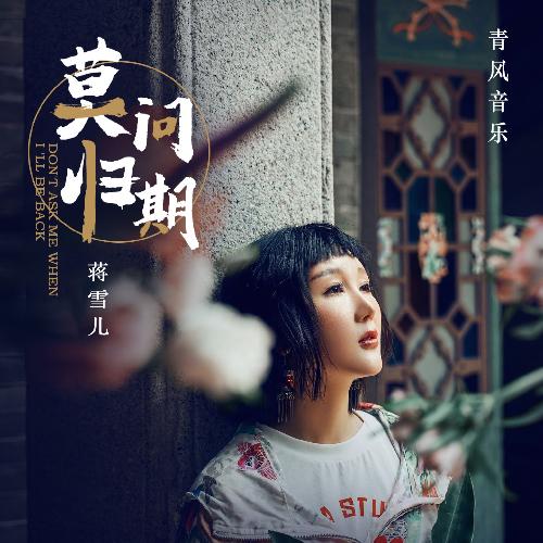 莫问归期 (DZC-remix) cover art