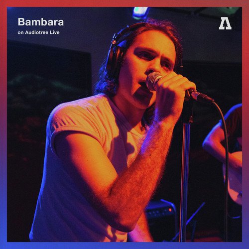 The Door Between Her Teeth (Audiotree Live Version)