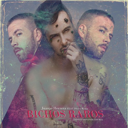 Bichos Raros (Remix)_poster_image